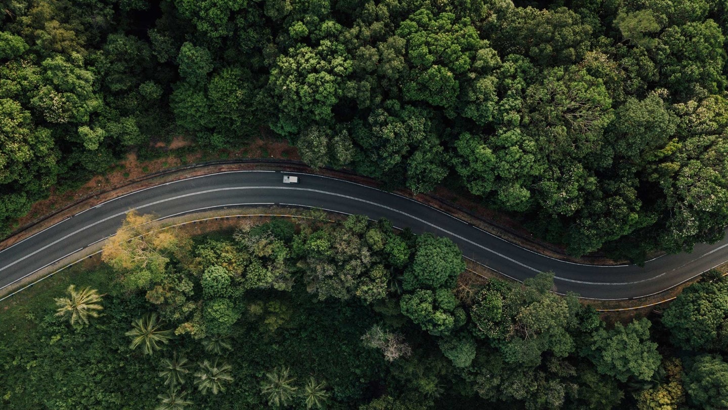 Road in a Forest view from above