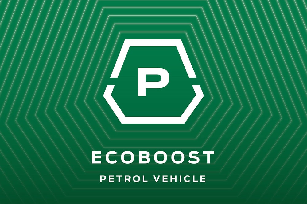 Pictogramă motorizare benzina Ecoboost