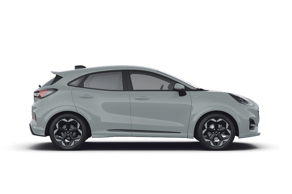 Profil lateral al unui Puma