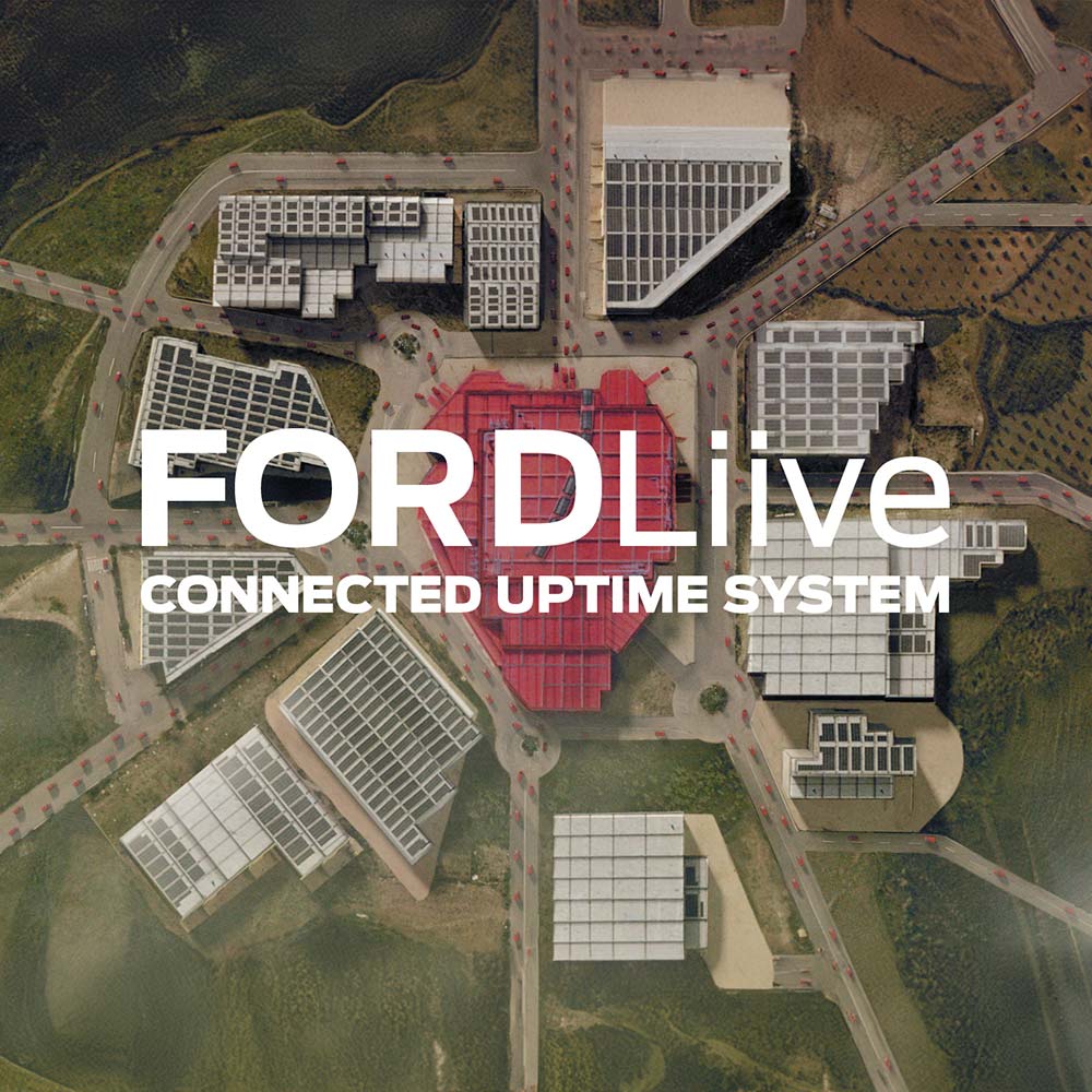 Grafic FordLiive