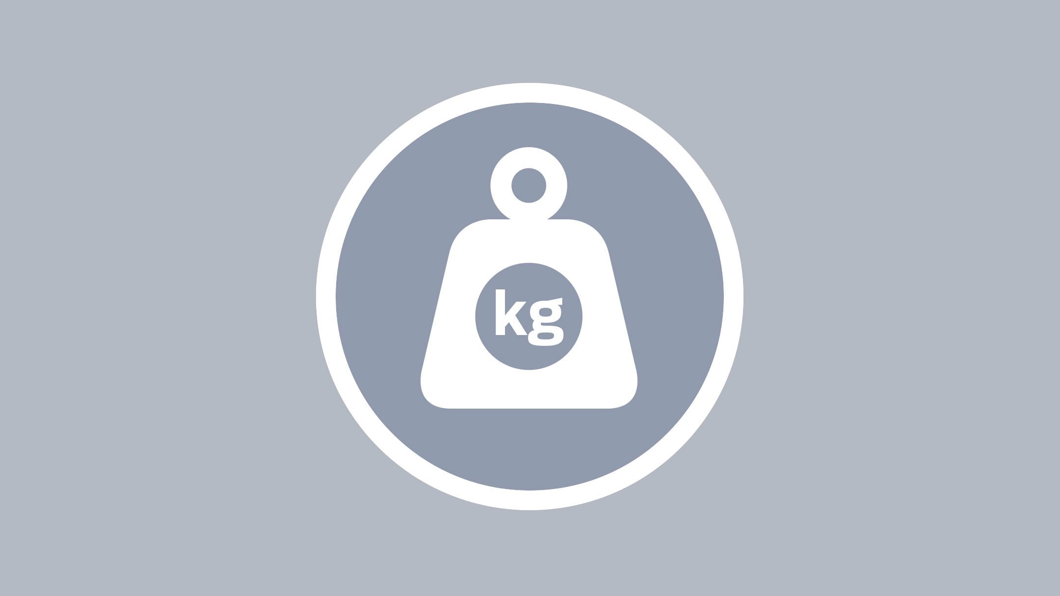 Vehicle weight icon