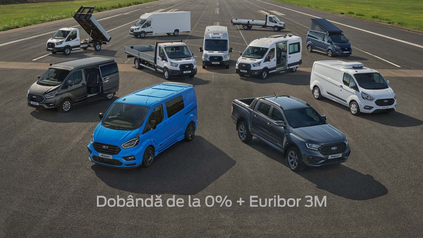 Vehicule Comerciale Ford