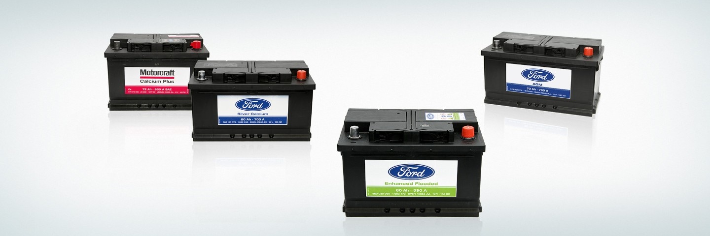 Pebish Investigation bungee jump Campanie de inlocuire a bateriilor Ford | Ford RO