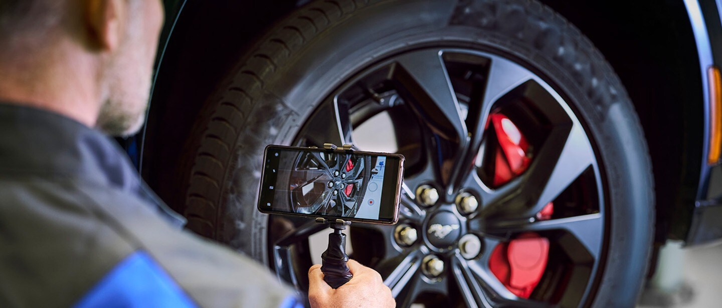 Man filming Kuga on his phone