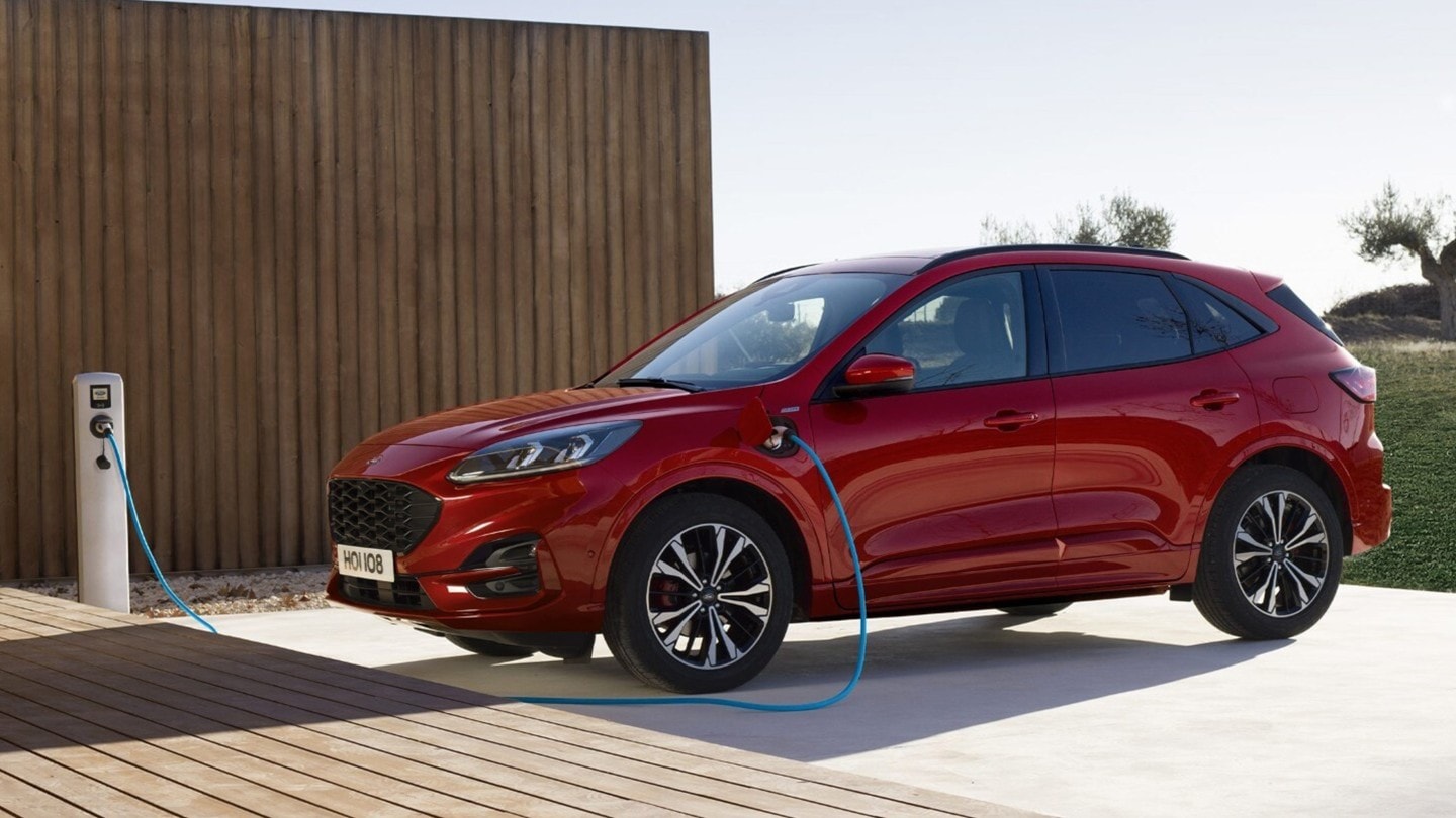 Red kuga